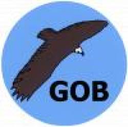 Logo gob