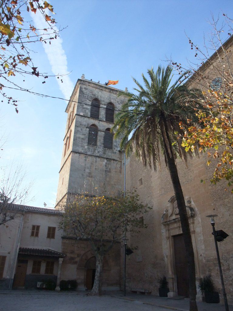 Diada de Mallorca 2010