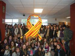 La campanya d'Enllaçats pel Català va néixer als Instituts de les Illes