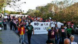 Una marxa ciutadana va mostrar el malestar per l'actuació de Red Elécrica Española