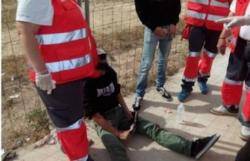 Les GAV convoquen l'atac a la Trobada d'Escoles en Valencià a Borredrà