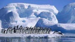 L'Antàrtida es fon