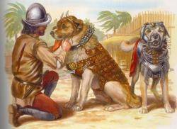 Els gossos agressius van ser l'arma de terror dels colonitzadors espanyols contra els indígenes