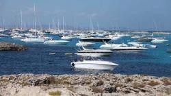 Vora 10.000 signatures per protegir el Parc de Ses Salines d'Eivissa de l'ancoratge de vaixells