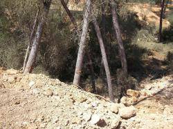 Terraferida denuncia la destrucció de 7 hectàrees de la zona protegida del Barranc de Xorrigo a Mallorca