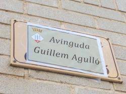 La CUP Alcanar canvia el nom de l'Avinguda Constitució pel de Guillem Agulló