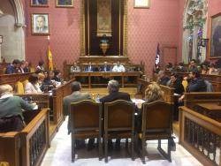 El Consell de Mallorca aprova que l?aeroport es digui Ramon Llull