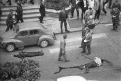 1997 París obre una investigació sobre la matança d'algerians el 1961