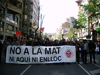 Nord i Sud de l'Albera sota un sol crit en una mateixa llengua: "No a la MAT, ni aquí ni enlloc!" Nord i Sud de l'Albera sota un sol crit en una mateixa llengua: "No a la MAT, ni aquí ni enlloc!"