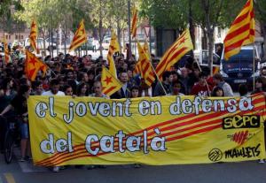 manifestaci_a_palma_pel_catal
