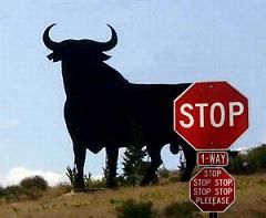 stopbull