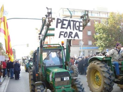 mataro1
