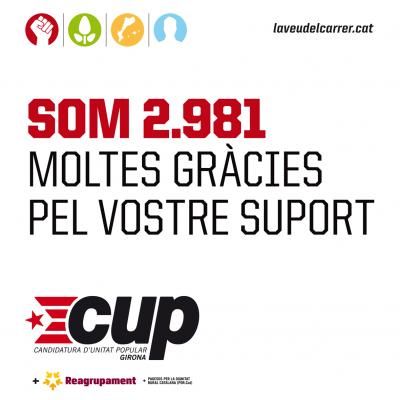 cup_2981