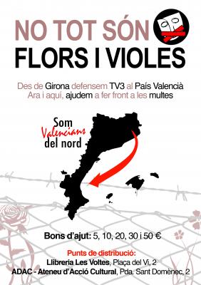 no_tot______so769n_flors_i_violes_d4