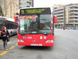 Bus