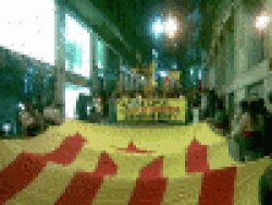 Maniroser1