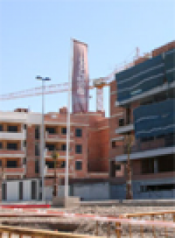 Pego