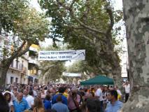 Consulta a Arenys de Munt
