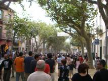 Consulta a Arenys de Munt