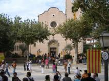 Consulta a Arenys de Munt