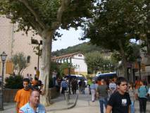 Consulta a Arenys de Munt
