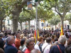 Consulta a Arenys de Munt