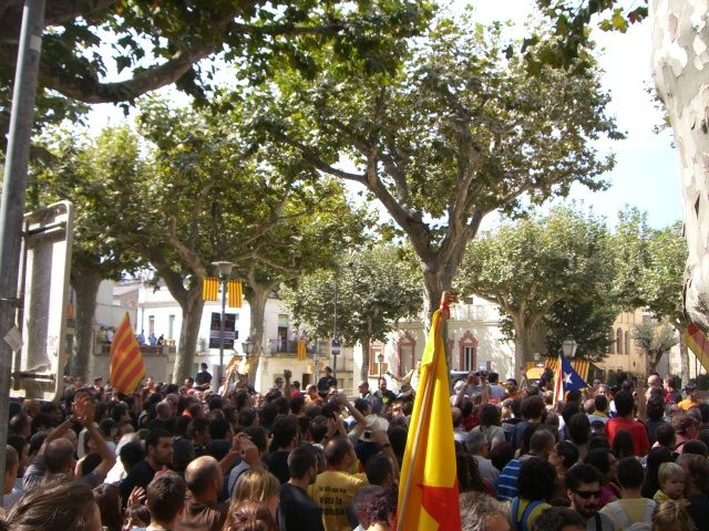 Consulta a Arenys de Munt