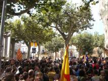 Consulta a Arenys de Munt