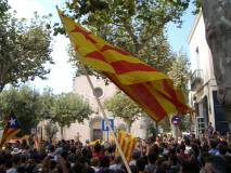 Consulta a Arenys de Munt