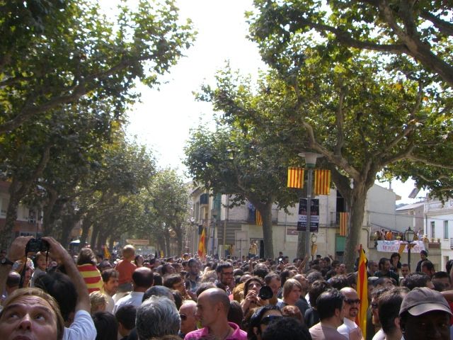 Consulta a Arenys de Munt