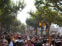 Consulta a Arenys de Munt