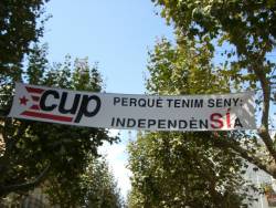 Cimg7126