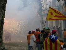 Consulta a Arenys de Munt