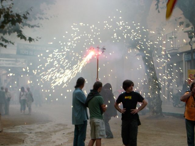 Consulta a Arenys de Munt