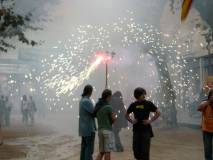 Consulta a Arenys de Munt
