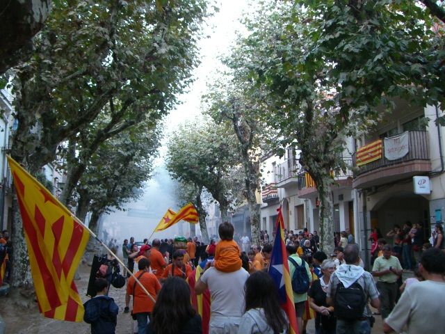 Consulta a Arenys de Munt