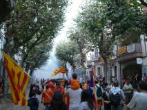 Consulta a Arenys de Munt