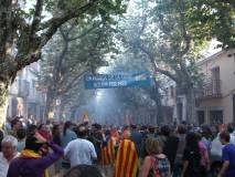 Consulta a Arenys de Munt
