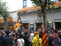 Consulta a Arenys de Munt