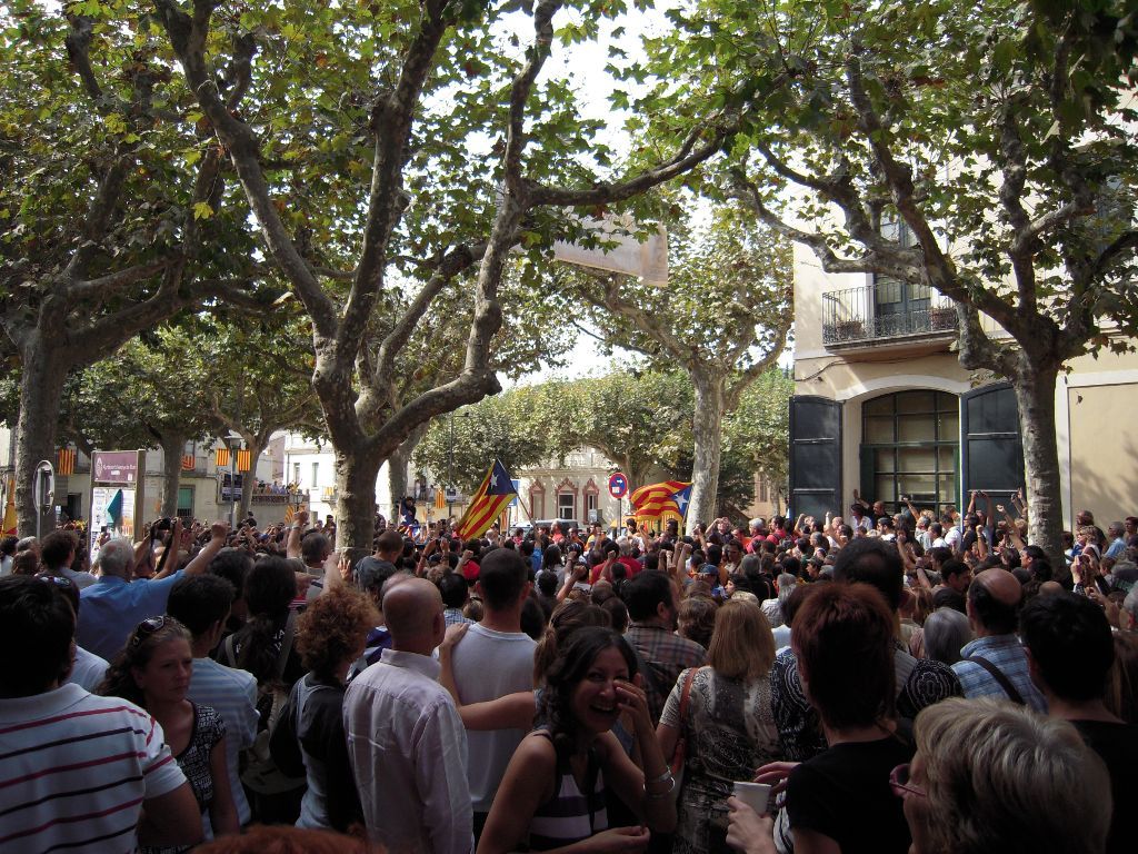Consulta a Arenys de Munt