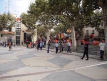 Consulta a Arenys de Munt
