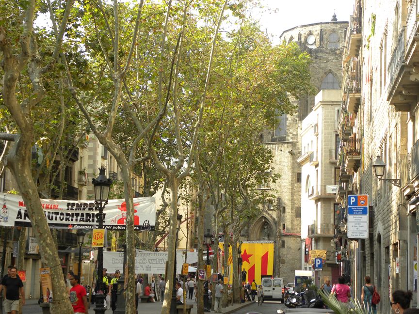 11 de setembre de 2009