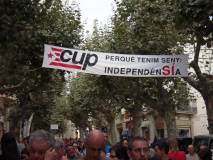 Consulta a Arenys de Munt