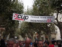 Consulta a Arenys de Munt