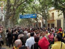 Consulta a Arenys de Munt