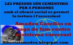 Amadeu1