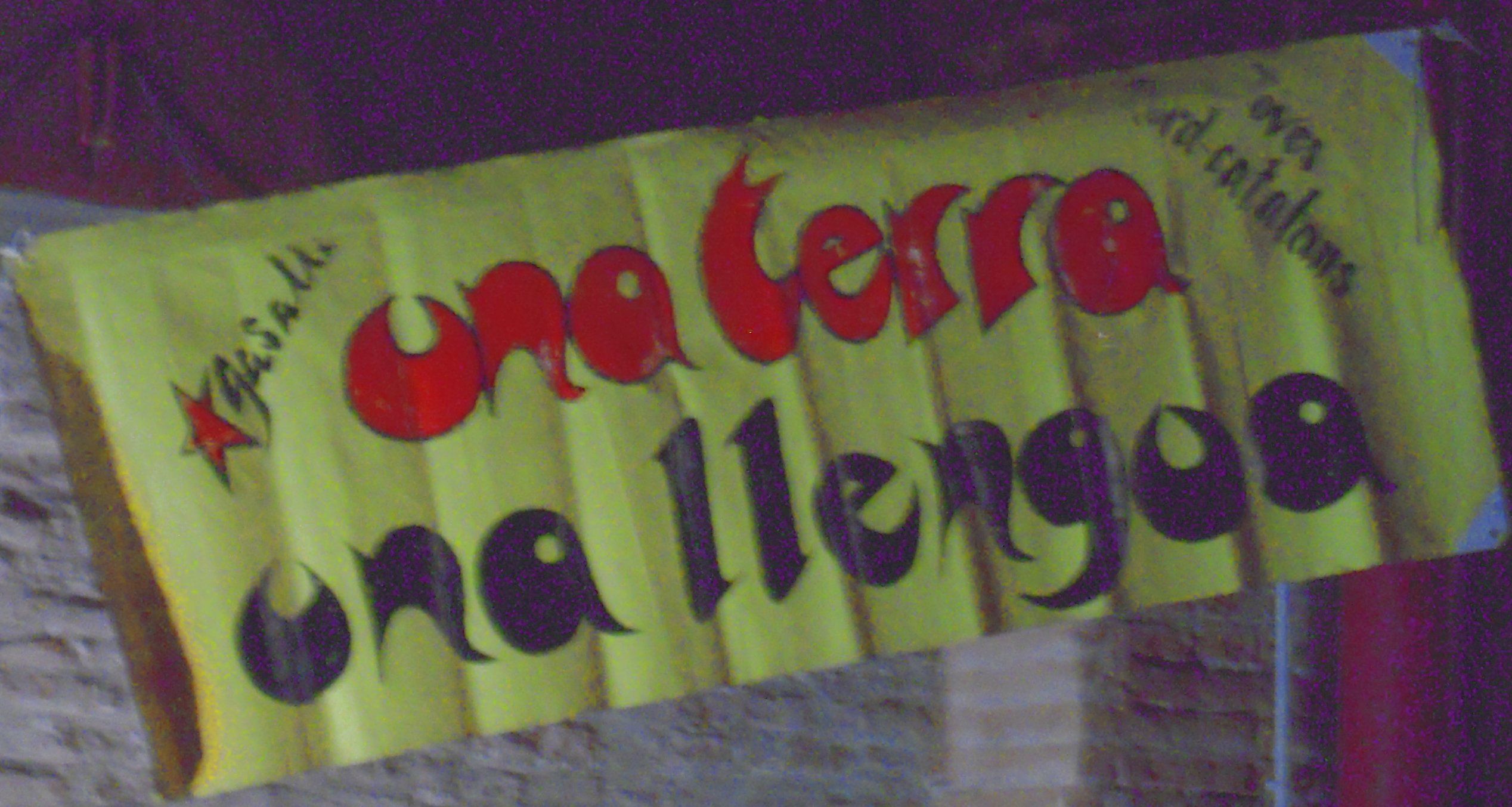 Diada de la Catalunya Nord 09