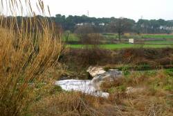 Riu ripoll barbera horitz