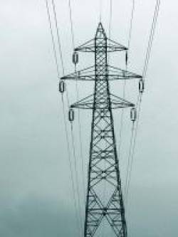 Entitats ecologistes exigeixen aturar els projectes de Forest&agrave;lia per presumptes irregularitats