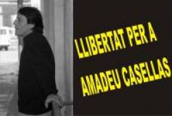 Amadeu casellas